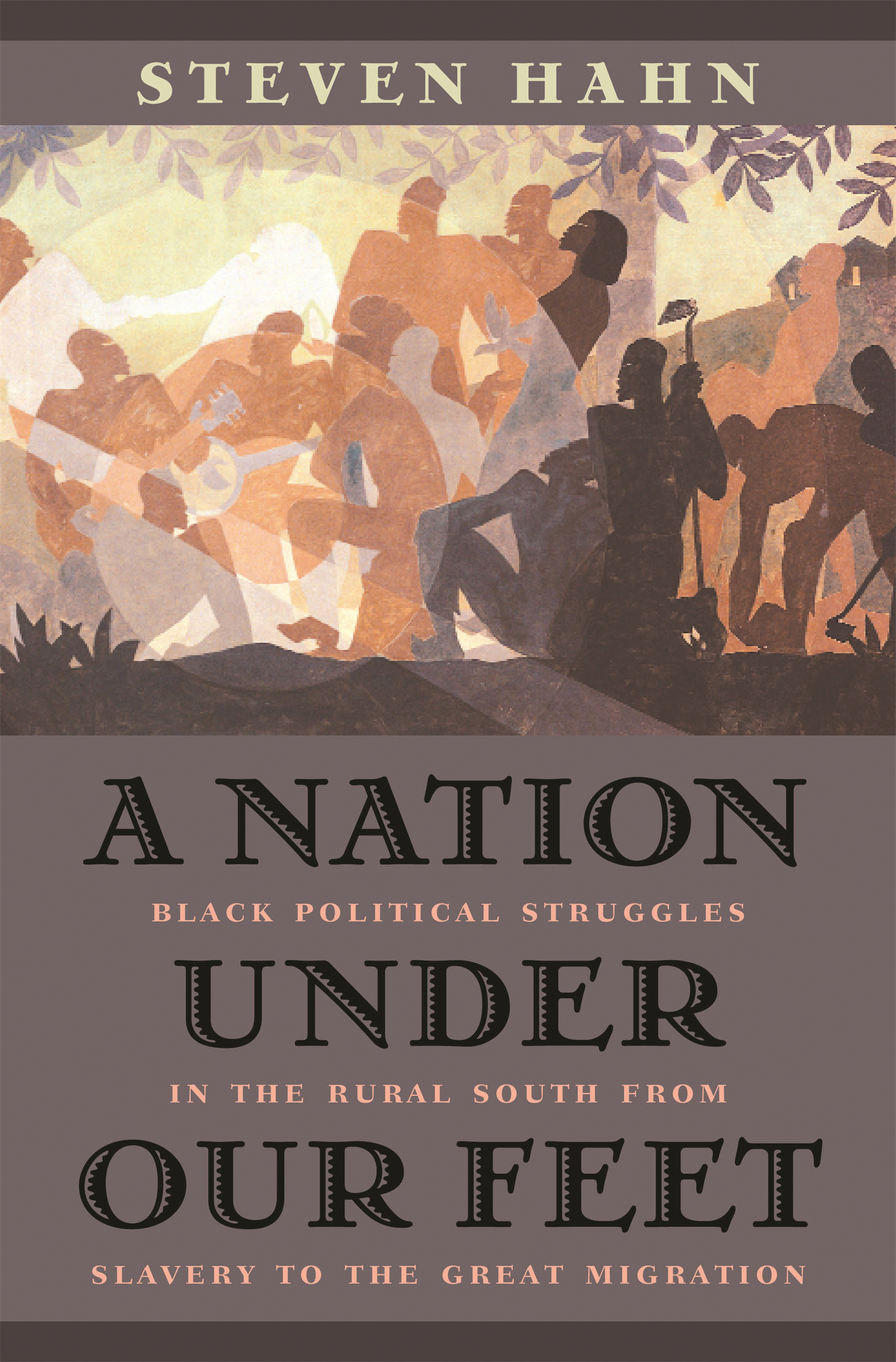 Steven Hahn: A Nation Under Our Feet (Hardcover, 2003, Belknap Press)