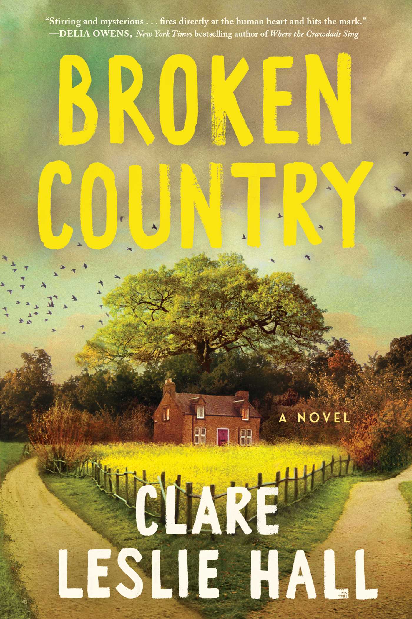 Clare Leslie Hall: Broken Country (2025, Simon & Schuster)