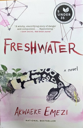 Akwaeke Emezi (duplicate): Freshwater (2018, Grove/Atlantic, Incorporated)